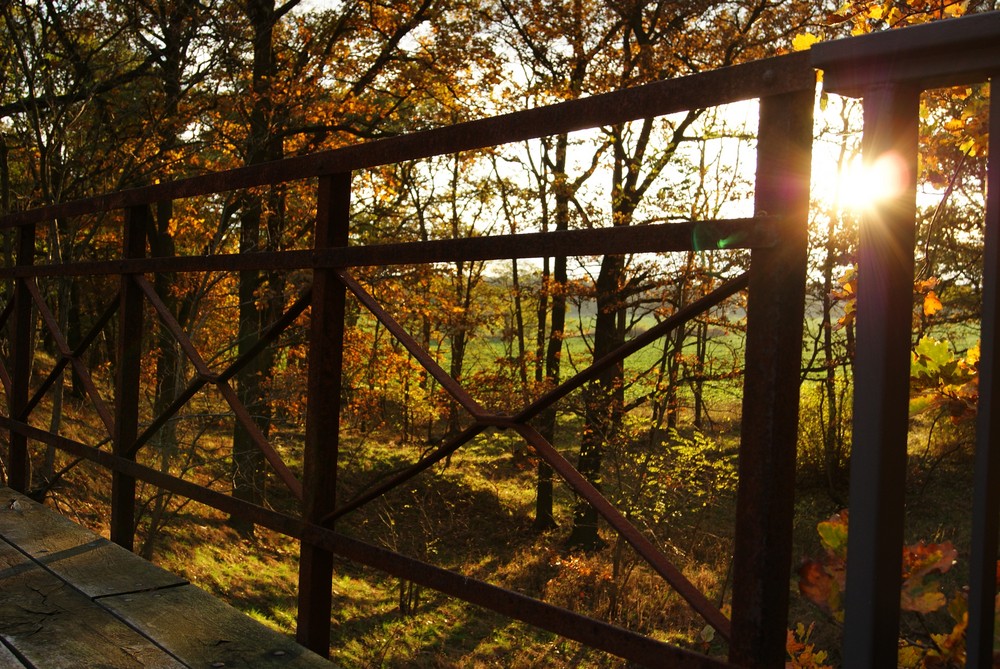 Farbenspiel mit Sonnenstrahlen