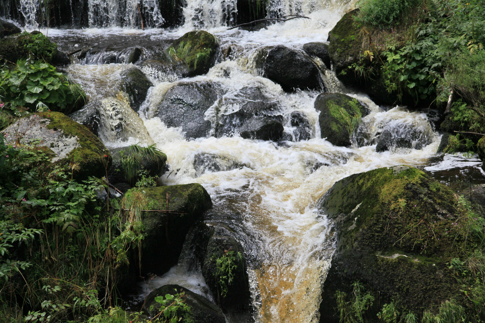 Farbenspiel mit Wasser