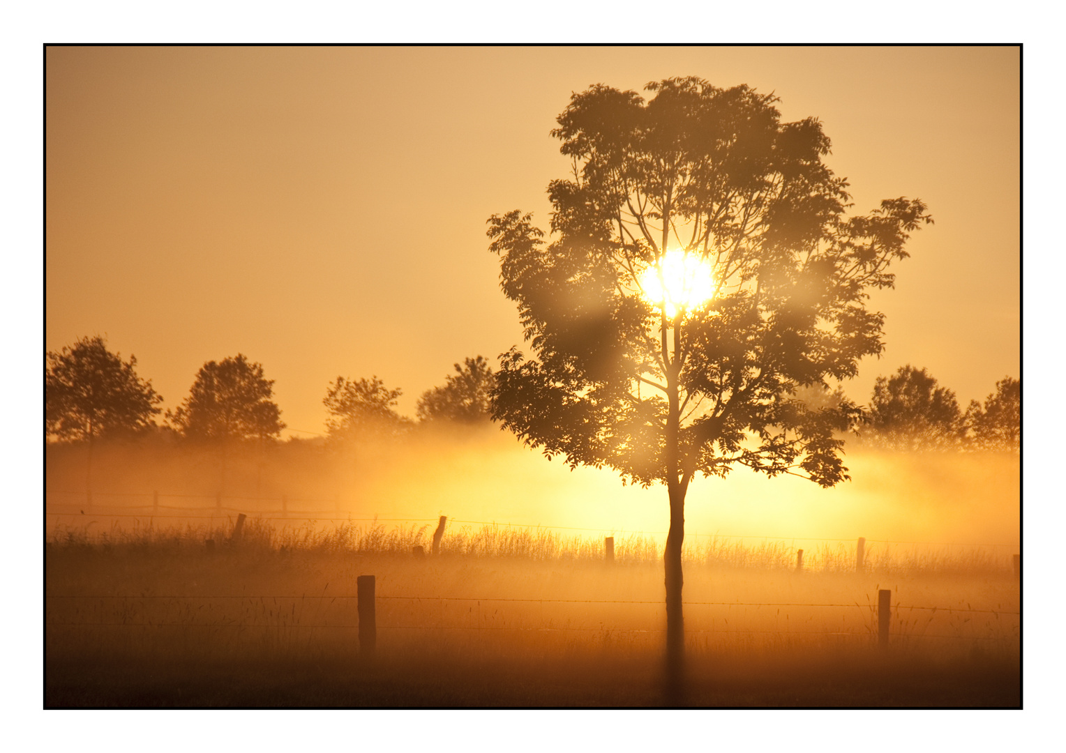 Farbenspiel | Münsterland