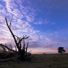 Farbenspiel über der Westruper Heide