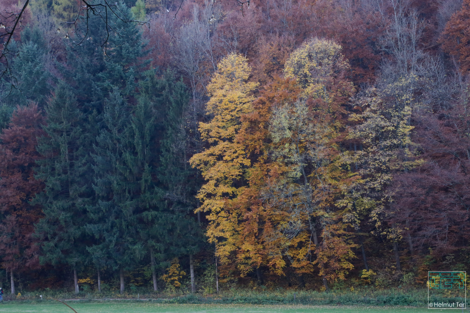 Farbenspiel ungeschönt