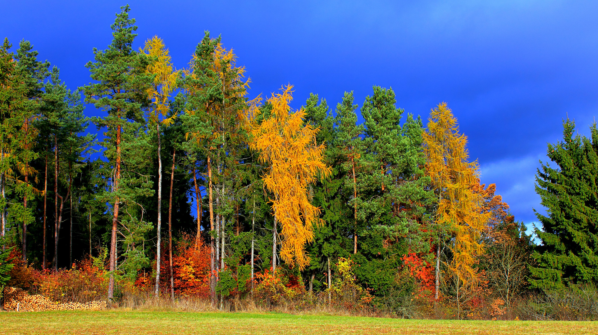 Farbenspiele der Natur - 3