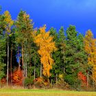 Farbenspiele der Natur - 3