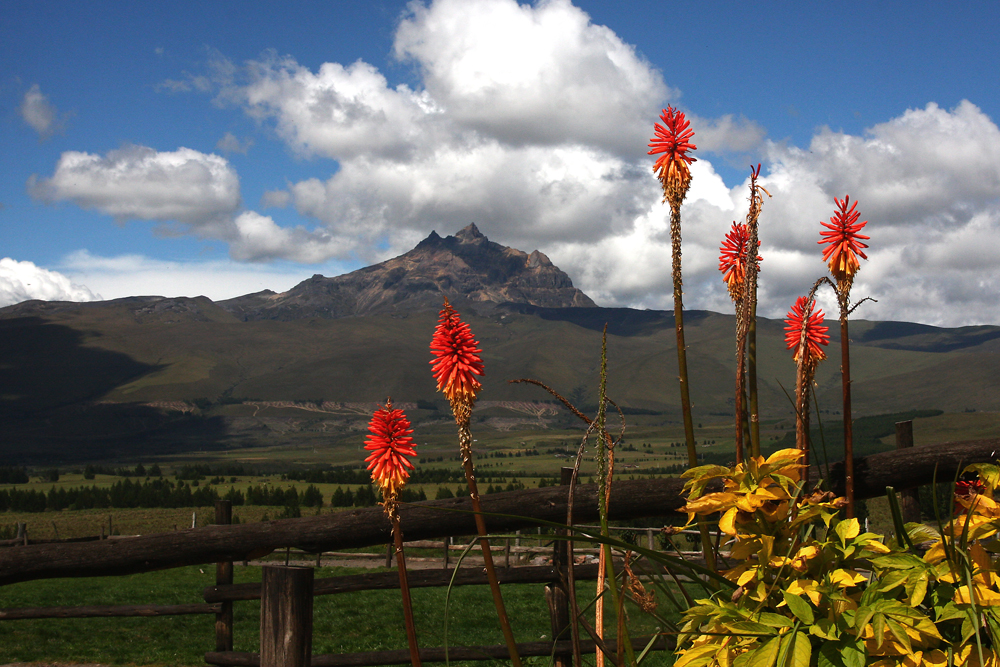 Farbenspiele im Andenhochland von Ecuador