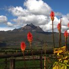 Farbenspiele im Andenhochland von Ecuador