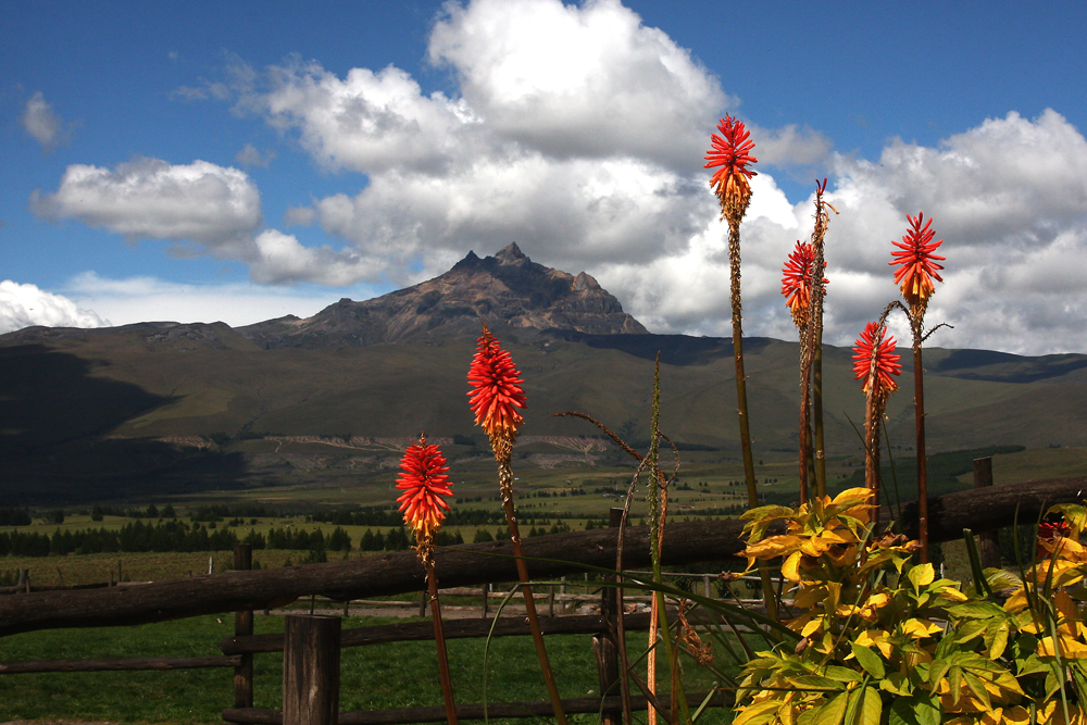 Farbenspiele im Andenhochland von Ecuador von Hempel Peter 