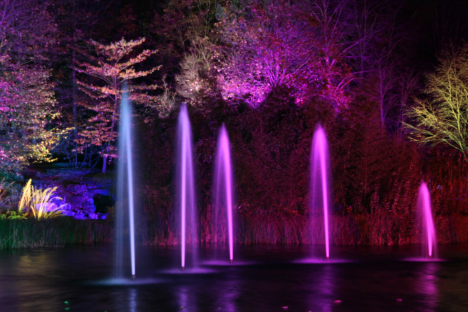 Farbenspiele während des Herbstleuchtens am See