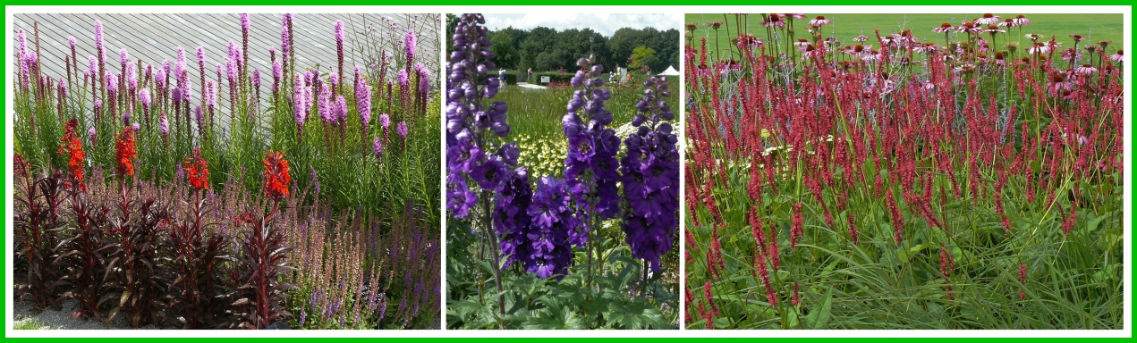 Farbenvielfalt auf der Floriade 2012