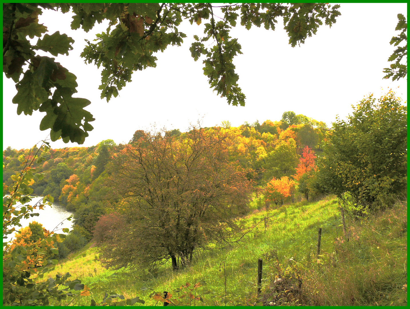 Farbenvielfalt des Herbstes