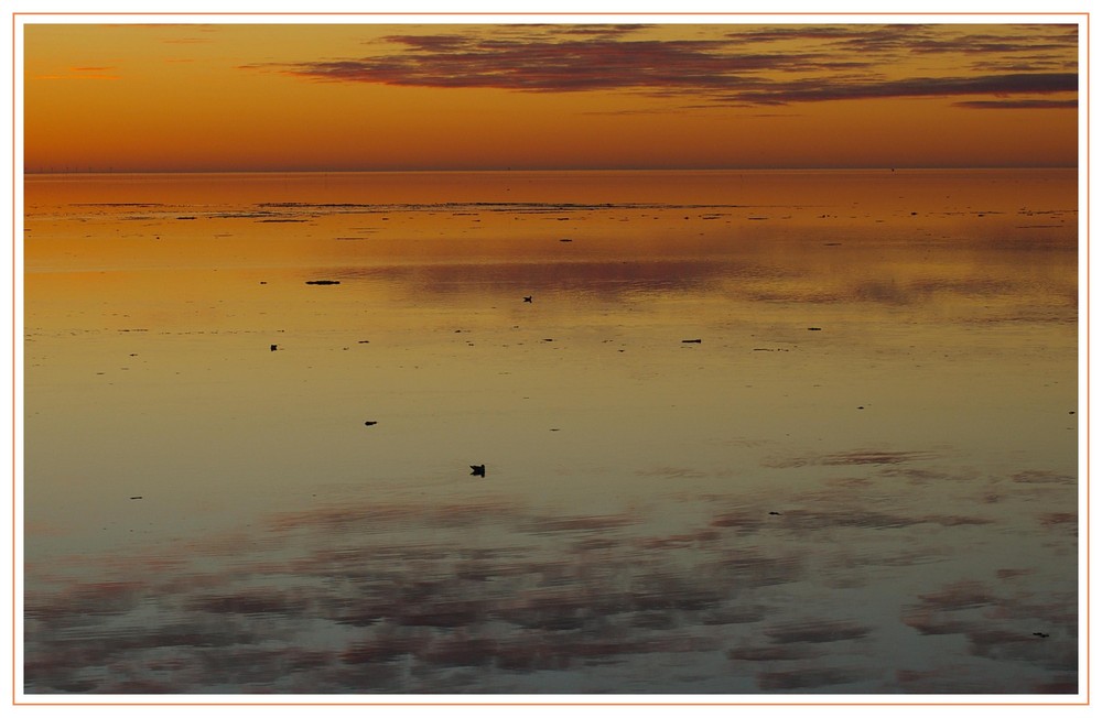 Farbenvielfalt im Wattenmeer vor Norddeich