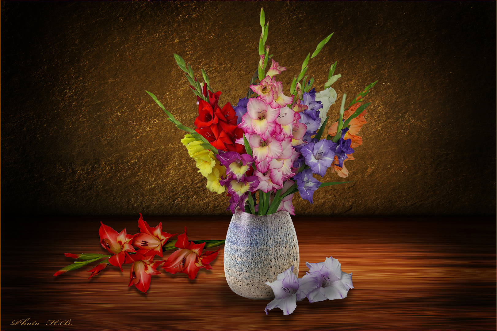 Farbenvielfalt - Stillleben mit Gladiolen