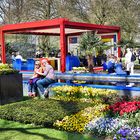 Farbenwunder Keukenhof