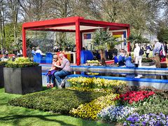 Farbenwunder Keukenhof