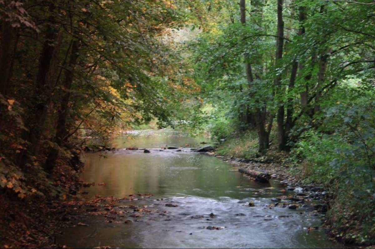 Farbenzauber im Herbst