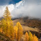 Farbenzauber im Lötschental