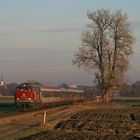 Farbexot in Südostbayern (2)