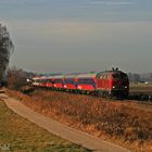 Farbexot in Südostbayern (3)