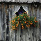 Farbfenster im dunklen Rahmen