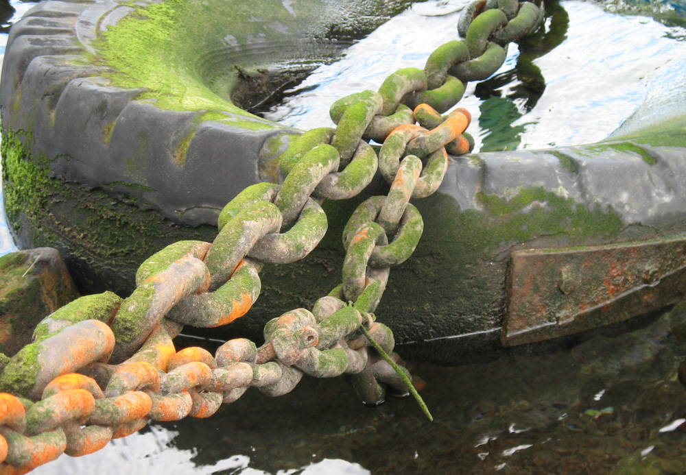 Farbgebung der Natur - des Meeres