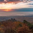 Farbgebung: Herbstlich