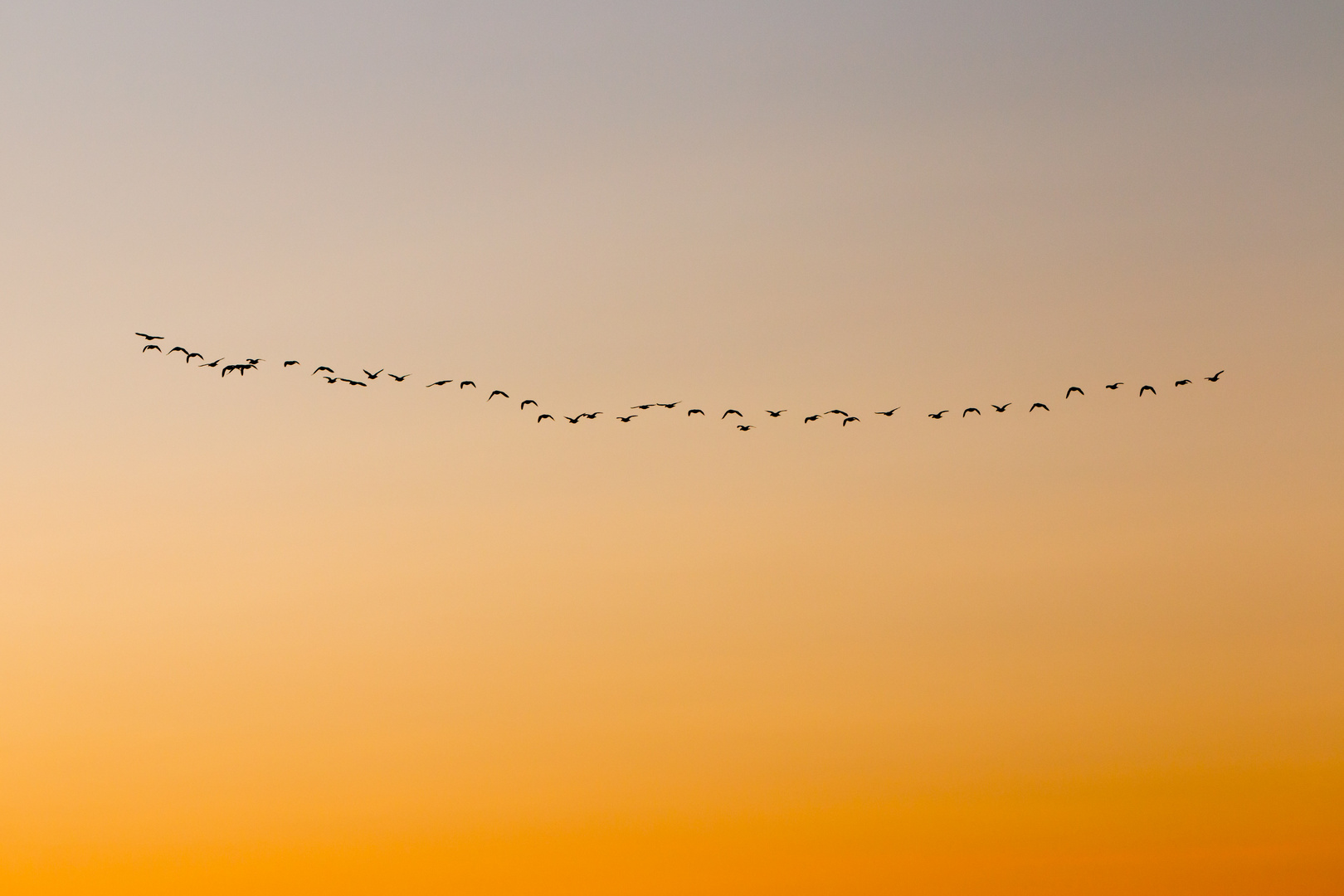 Farbgradient mit Besuch