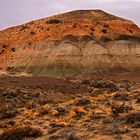 Farbige Berge Bosques Petrificados Patagonien Argentinien