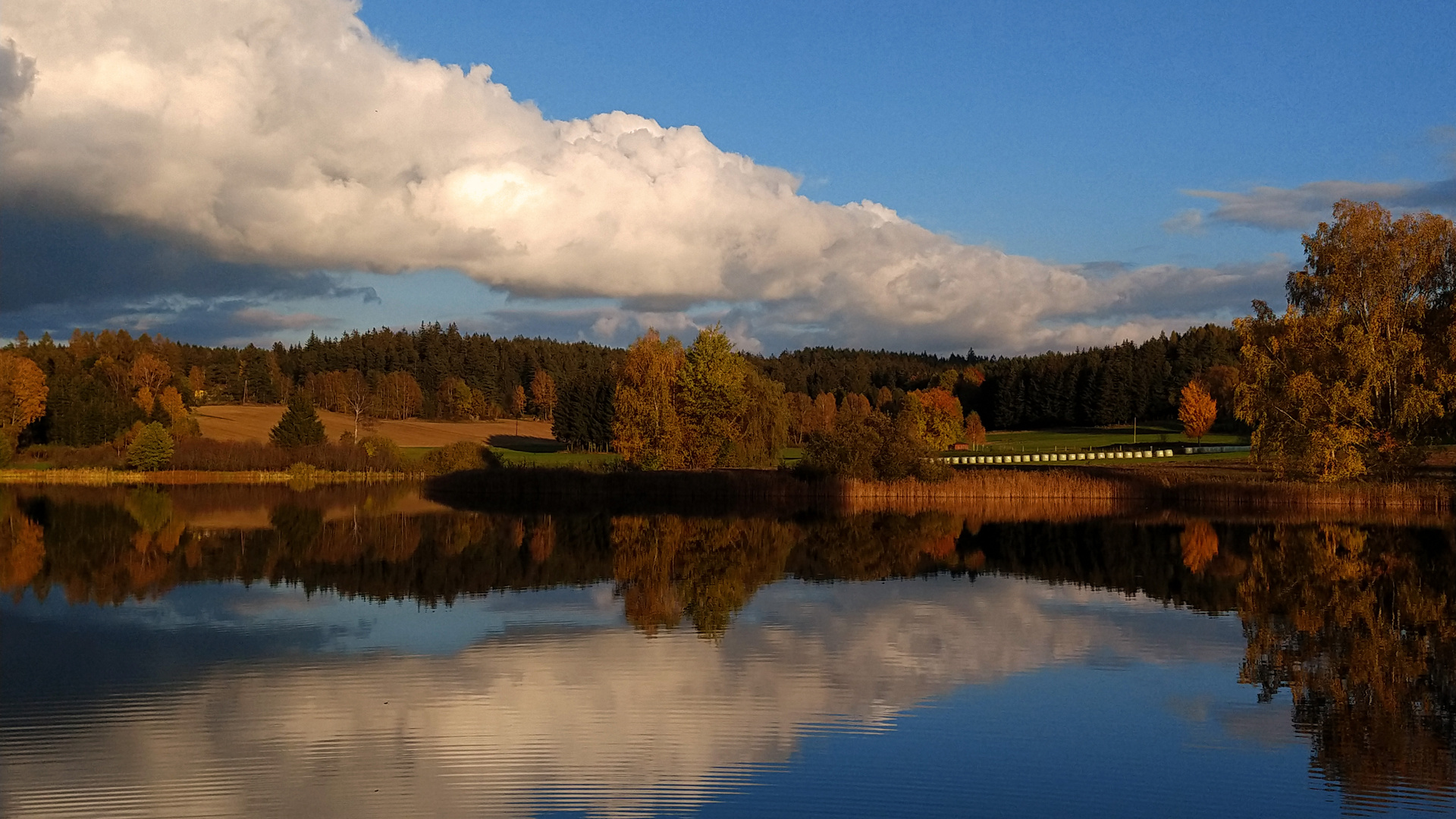 Farbige Herbststimmungen...