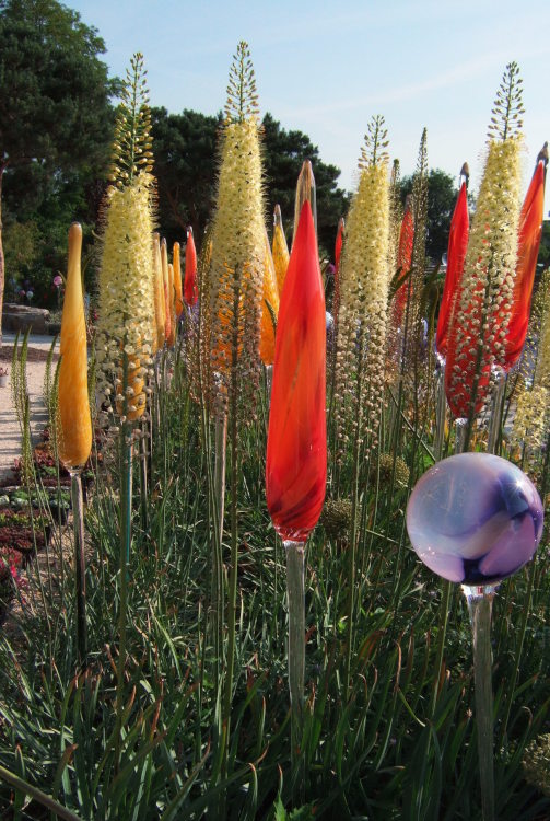 farbige Kerzen auf der Gartenschau in Heidenheim