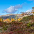 farbige Landschaft