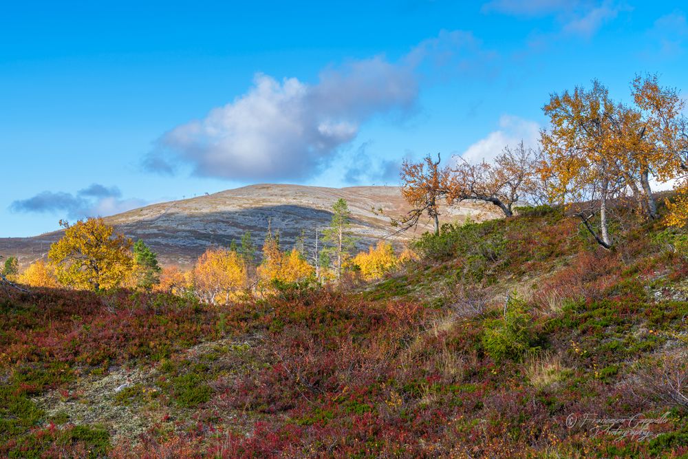 farbige Landschaft