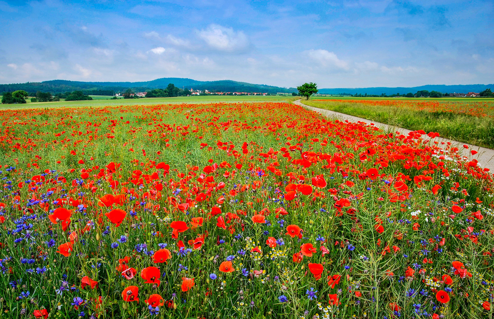 Farbige Landschaft