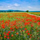 Farbige Landschaft