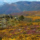 Farbige Landschaft