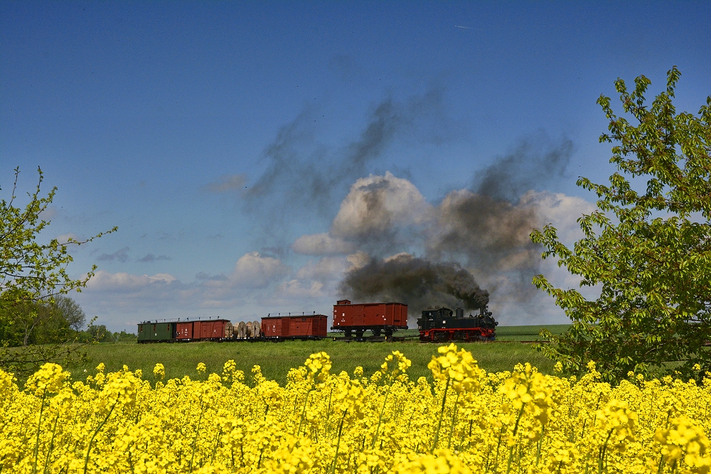 Farbige Niederlage