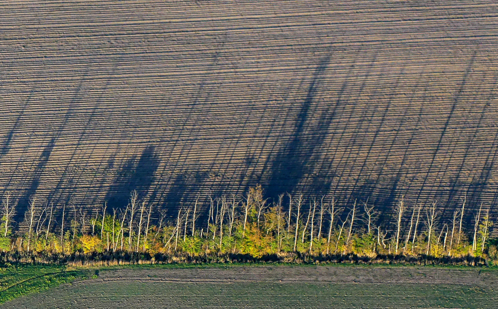 Farbige Schattenspiele