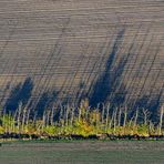 Farbige Schattenspiele