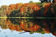 Farbige Welten im Herbst