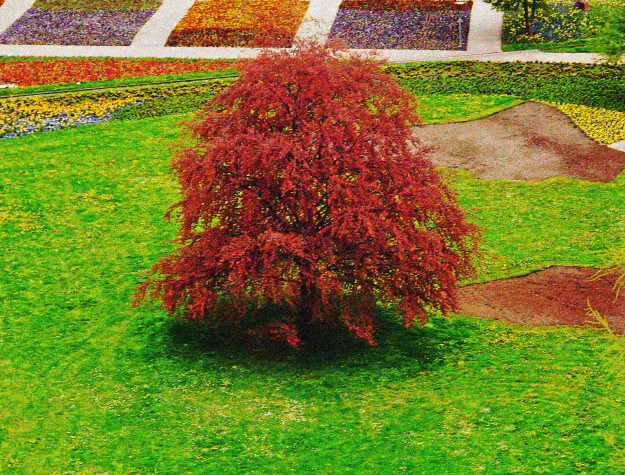 Farbiger Baum