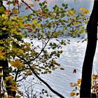 farbiger Herbst -