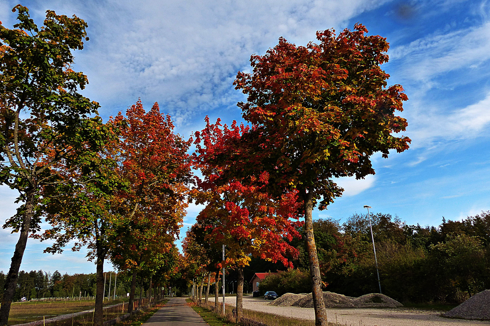 Farbiger Herbst