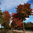 Farbiger Herbst