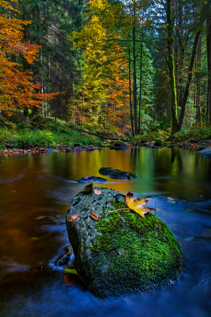 Farbiger Herbst an der Steinklamm