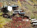 Farbiger Herbst im Lötschental 3 by emmentaler 