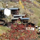 Farbiger Herbst im Lötschental 3