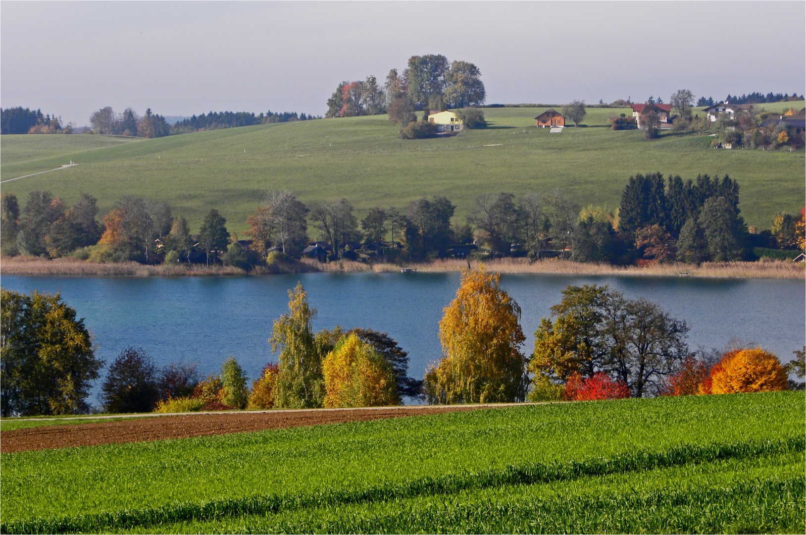 Farbiger Mattsee...