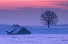 Farbiger Morgen