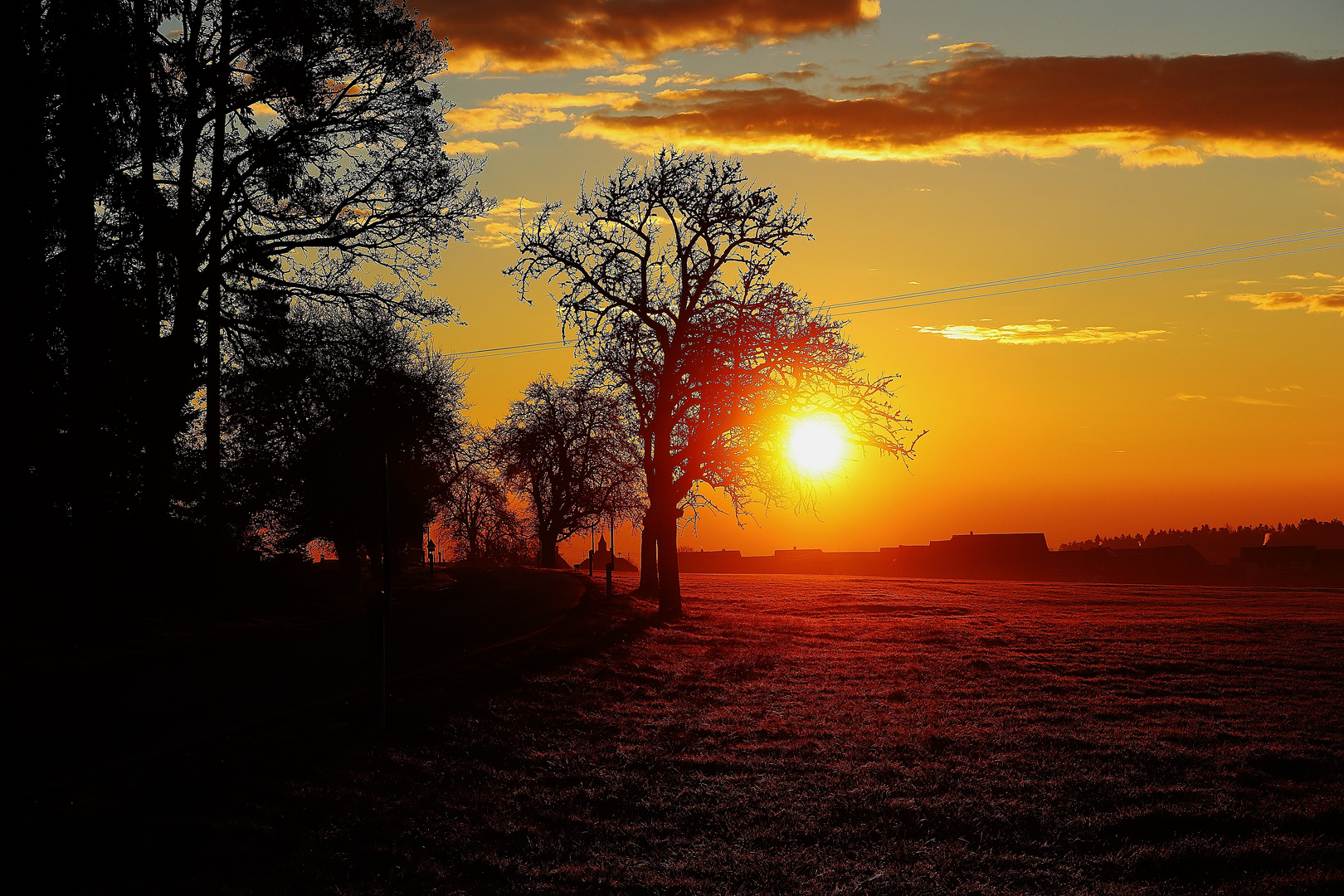 Farbiger Raureif- Morgen/ 1