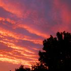 Farbiger Sonnenuntergang über Münster