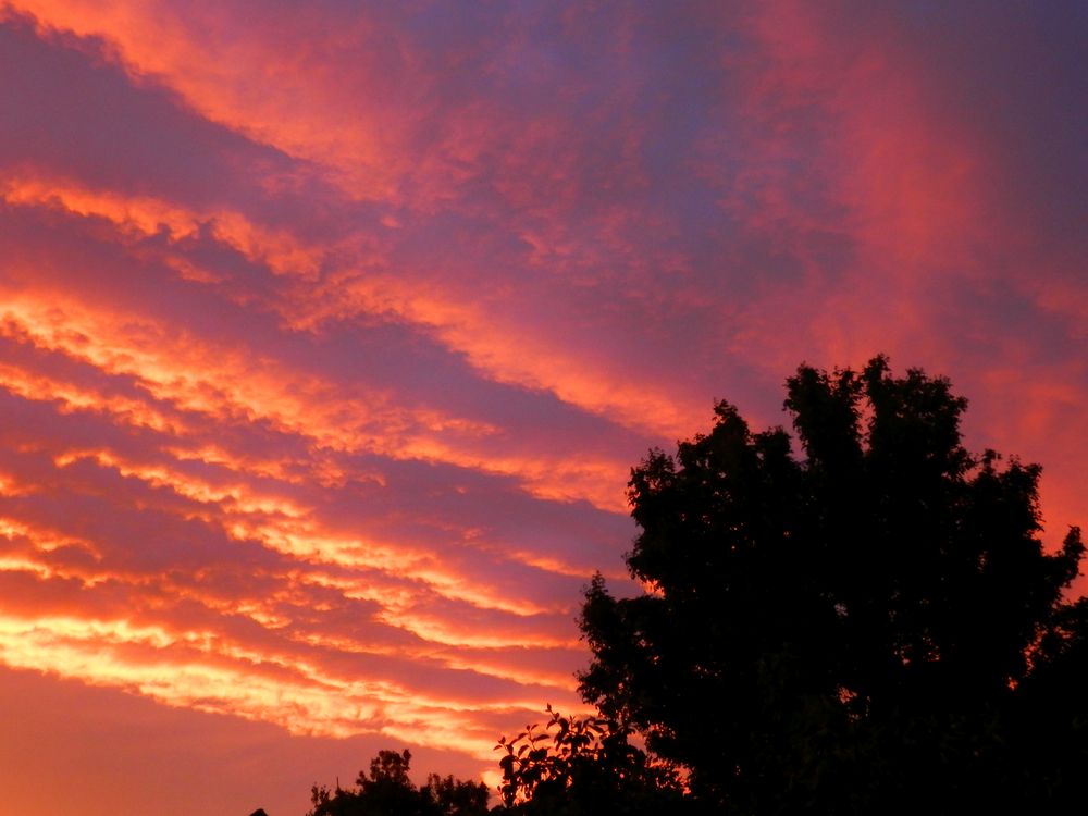 Farbiger Sonnenuntergang über Münster