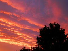 Farbiger Sonnenuntergang über Münster